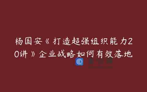 杨国安《打造超强组织能力20讲》企业战略如何有效落地