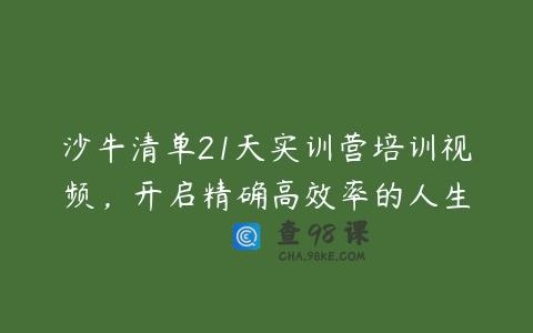 沙牛清单21天实训营培训视频，开启精确高效率的人生