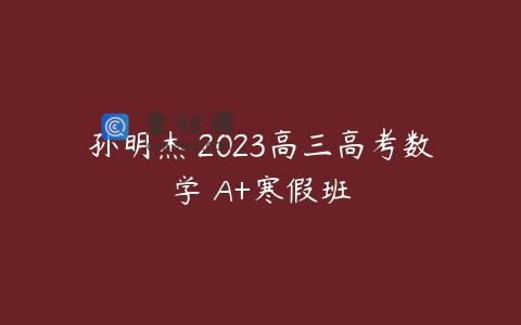 孙明杰 2023高三高考数学 A+寒假班