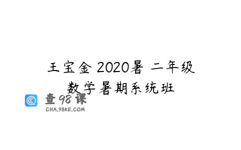 王宝金 2020暑 二年级数学暑期系统班