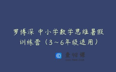 罗博深 中小学数学思维暑假训练营（3~6年级适用）