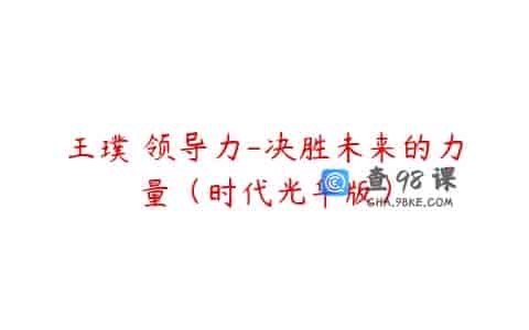 王璞 领导力-决胜未来的力量（时代光华版）