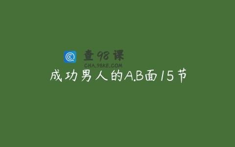 成功男人的A.B面15节