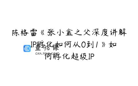 陈格雷《张小盒之父深度讲解，IP孵化如何从0到1》如何孵化超级IP