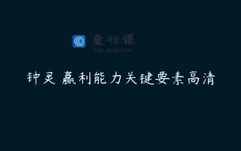 钟灵 赢利能力关键要素高清