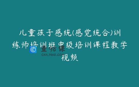 儿童孩子感统(感觉统合)训练师培训班中级培训课程教学视频