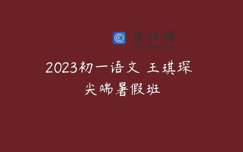 2023初一语文 王琪琛 尖端暑假班