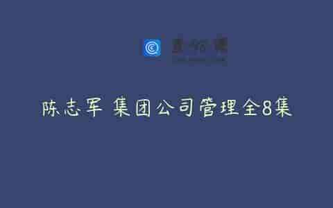 陈志军 集团公司管理全8集