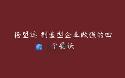 杨望远 制造型企业做强的四个要诀