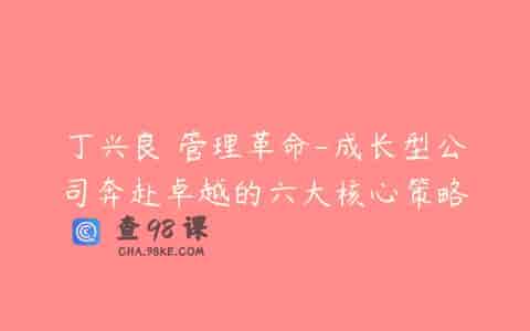 丁兴良 管理革命-成长型公司奔赴卓越的六大核心策略