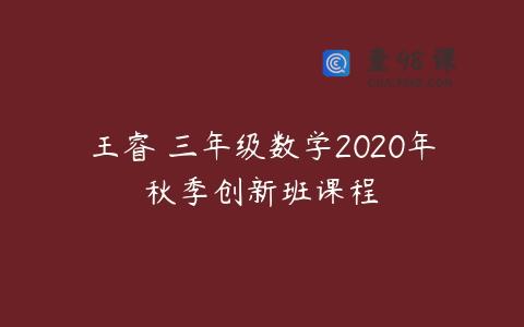 王睿 三年级数学2020年秋季创新班课程