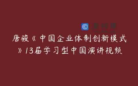 唐骏《中国企业体制创新模式》13届学习型中国演讲视频