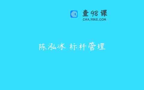 陈泓冰 标杆管理