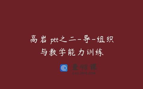 高岩 ptt之二-导-组织与教学能力训练