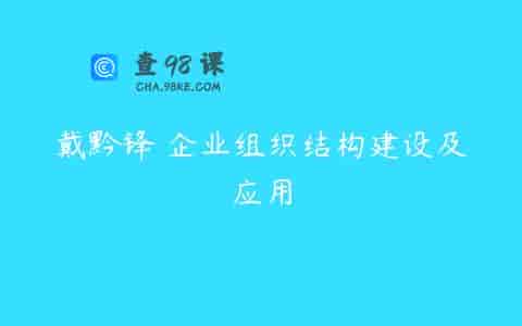 戴黔锋 企业组织结构建设及应用