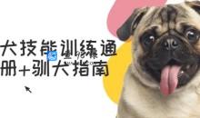 宠物犬技能训练通用手册驯犬指南