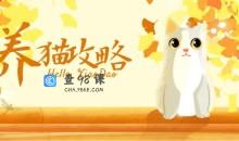 猫咪训练养猫攻略小技巧50秘诀