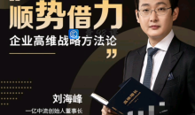 刘海峰 高维战略顺势篇_ 商界大讲堂 顺势借力3.0（29节）
