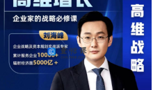 刘海峰高维增长：企业家的战略必修课_新版 （20节）