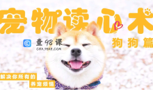 宠物读心术：解决你的养猫烦恼、解决你的养狗烦恼