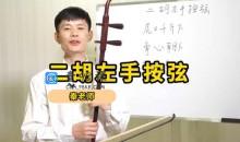 二胡自学视频教程初学 高清完整 入门到提高12G