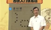 围棋入门快易精_围棋入门视频教程_王元围棋视频讲座