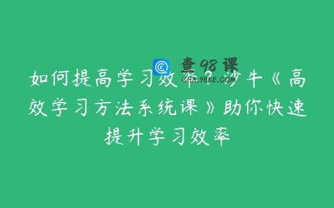 如何提高学习效率？沙牛《高效学习方法系统课》助你快速提升学习效率