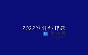 2022审计师押题