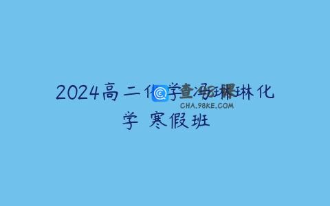2024高二化学 冯琳琳化学 寒假班