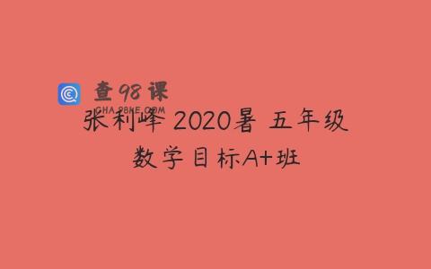 张利峰 2020暑 五年级数学目标A+班