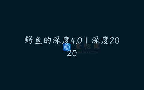 鳄鱼的深度4.0丨深度2020