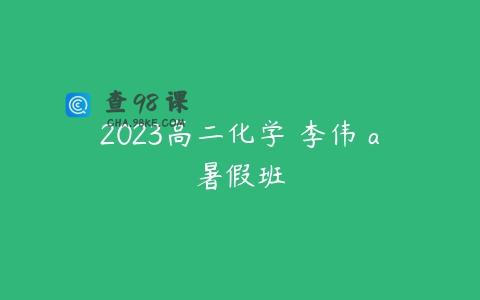 2023高二化学 李伟 a暑假班