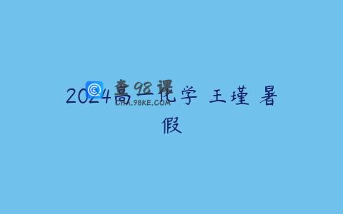 2024高一化学 王瑾 暑假