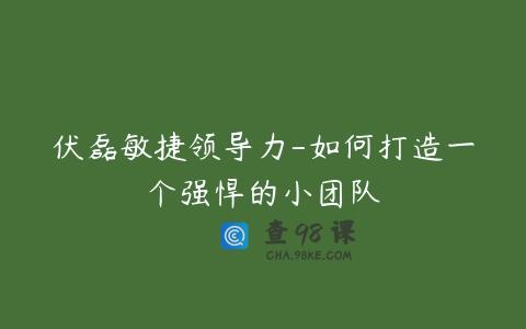 伏磊敏捷领导力-如何打造一个强悍的小团队