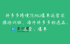 拼多多跨境TEMU爆单运营实操培训班，海外拼多多的选品、运营、爆单