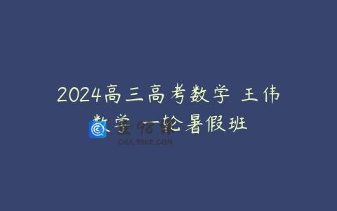 2024高三高考数学 王伟数学 一轮暑假班