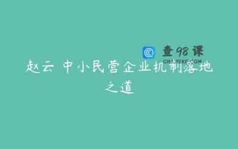 赵云 中小民营企业机制落地之道