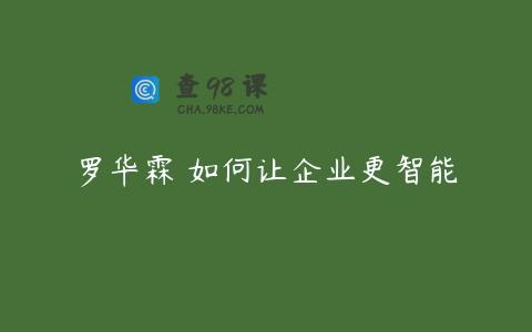 罗华霖 如何让企业更智能