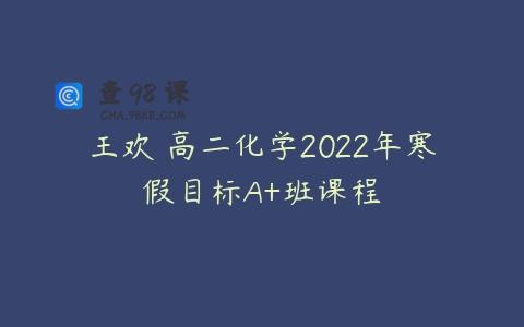 王欢 高二化学2022年寒假目标A+班课程