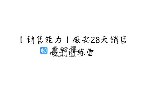 【销售能力】薇安28天销售高手训练营