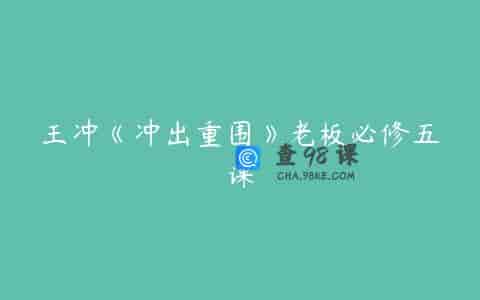 王冲《冲出重围》老板必修五课