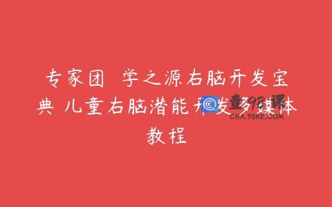 专家团  学之源右脑开发宝典 儿童右脑潜能开发多媒体教程