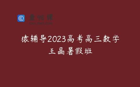 猿辅导2023高考高三数学王晶暑假班