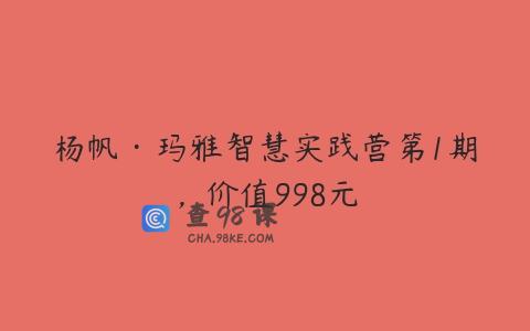 杨帆·玛雅智慧实践营第1期，价值998元