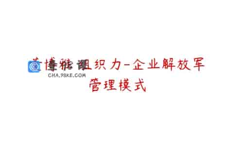 董博雅 组织力-企业解放军管理模式