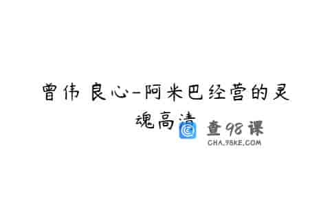 曾伟 良心-阿米巴经营的灵魂高清