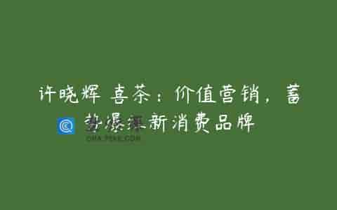 许晓辉–喜茶：价值营销，蓄势爆红新消费品牌