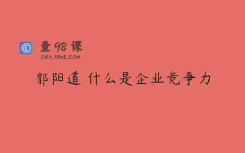 郭阳道 什么是企业竞争力