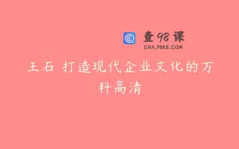 王石 打造现代企业文化的万科高清
