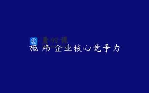 施 炜 企业核心竞争力